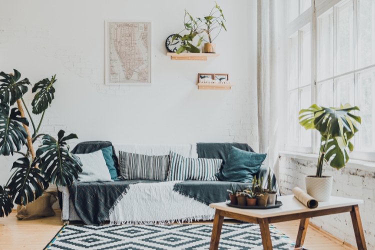 A relaxing and clean room with comfortable seating and houseplants is one aspect of self-care and soul-care.